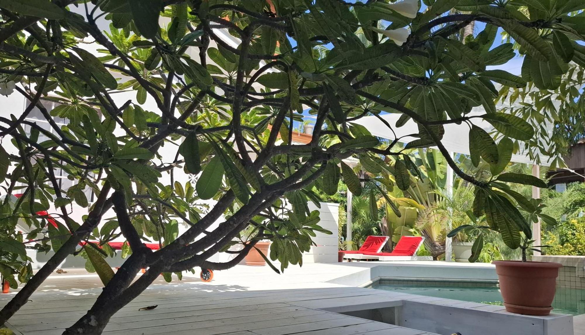 Amanda'S Place Casa Amancer - Sea View, Pool And Tropical Garden Кайе Колкер Екстериор снимка
