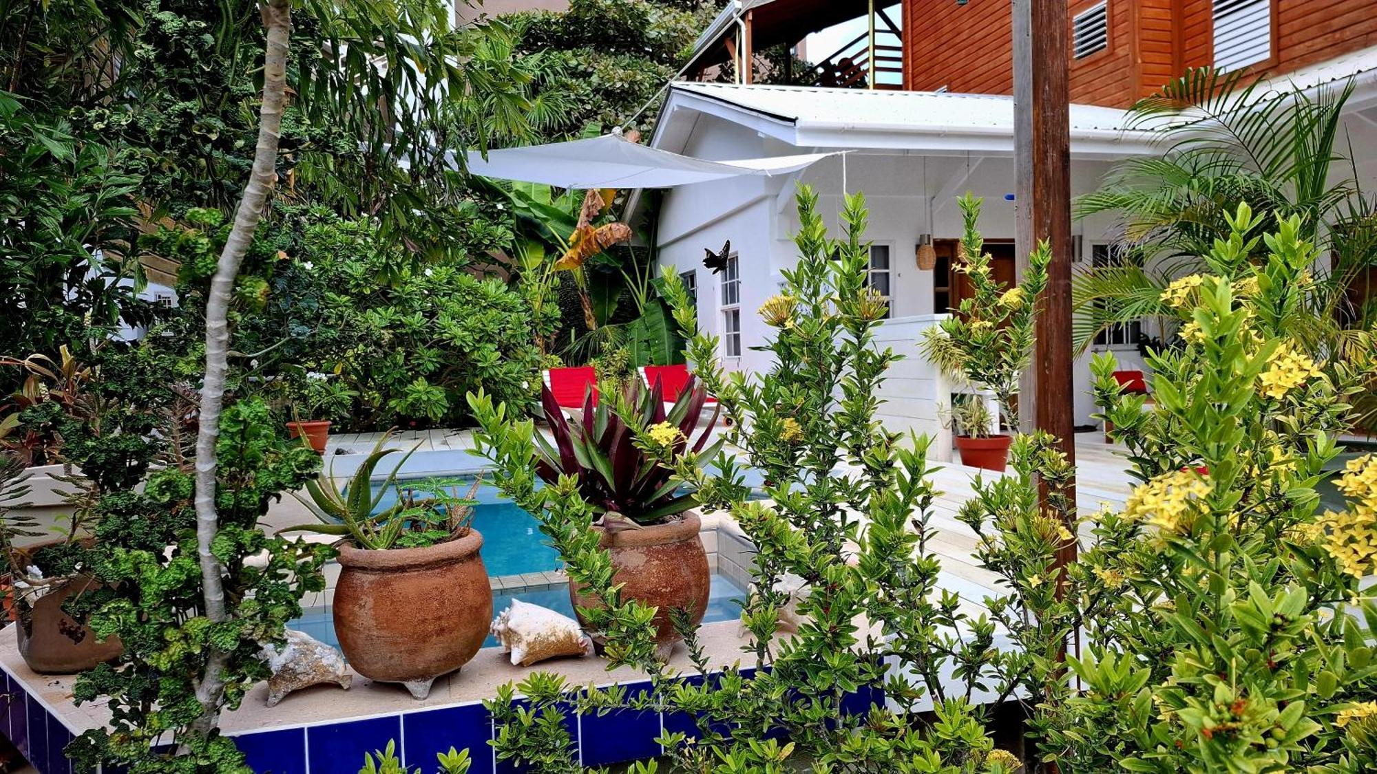 Amanda'S Place Casa Amancer - Sea View, Pool And Tropical Garden Кайе Колкер Екстериор снимка